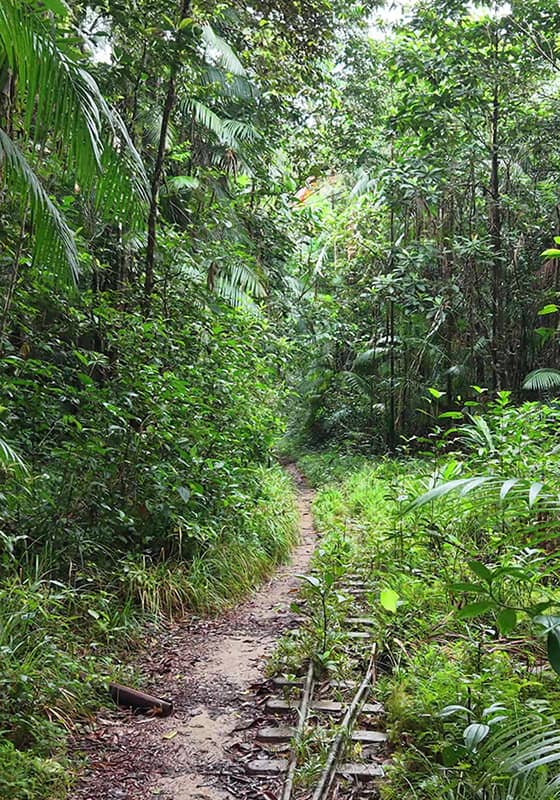 Sentier et rail du bagne des Annamites.