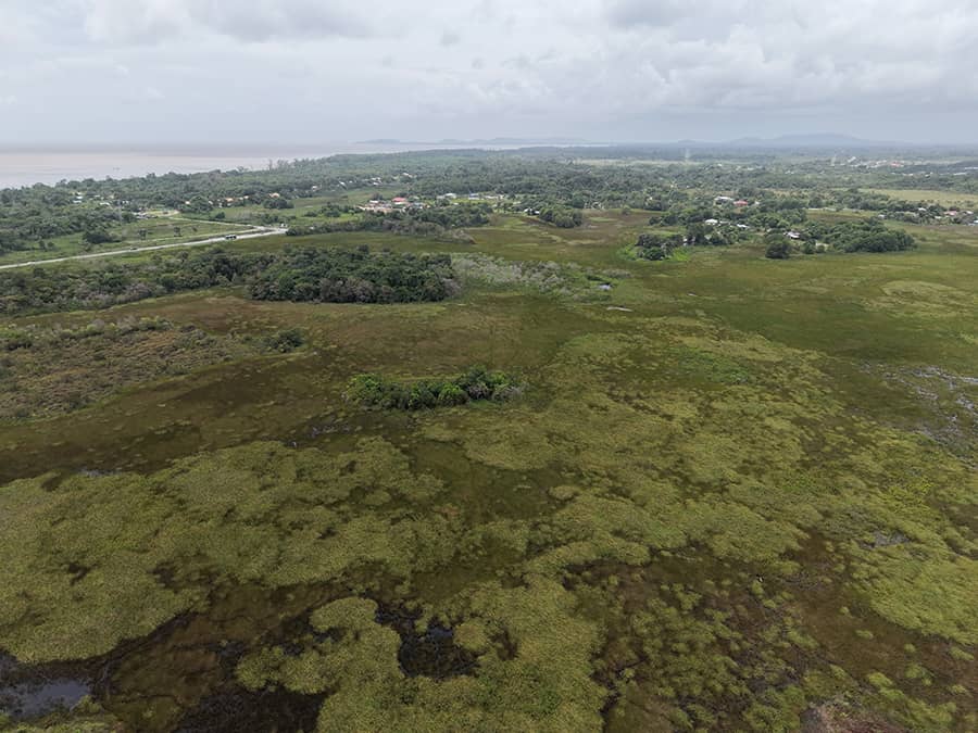 Vue aérienne des savanes et marais de Macouria.