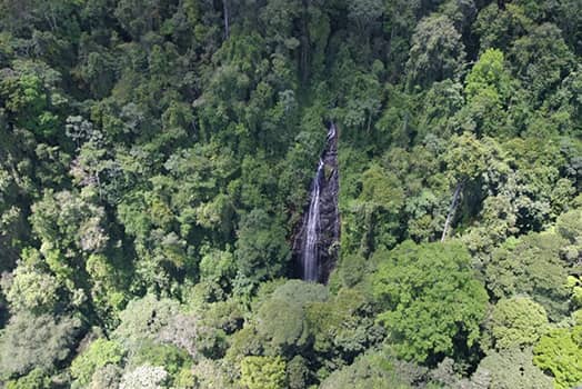 Chutes dans la Réserve biologique de Lucifer Dekou-dekou.