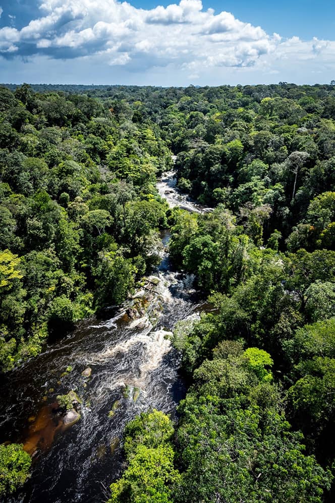 Vue aérienne de l'Armontabo au cœur de la forêt amazonienne.