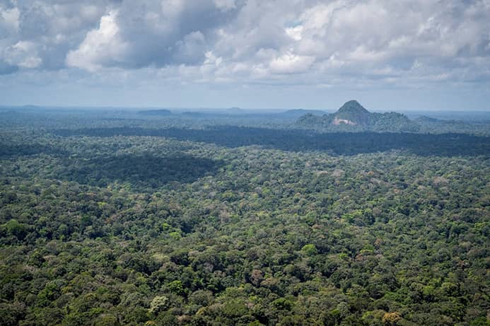 Vue aérienne du piton de l'Armontabo et de la forêt.