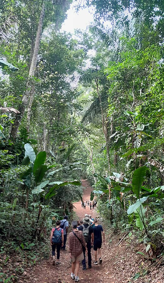 Groupe de personne se promenant sur le sentier de Vidal.