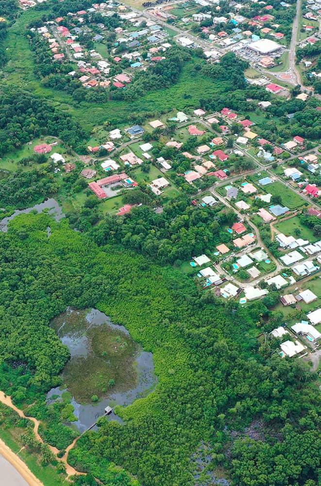 Vue aérienne de la zone humide des Salines de Montjoly et de l'urbanisation en arrière du site naturel.