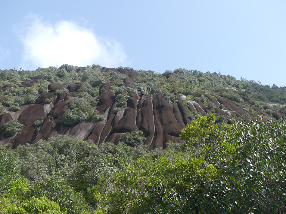 Vue en contre-bas d'un inselberg.