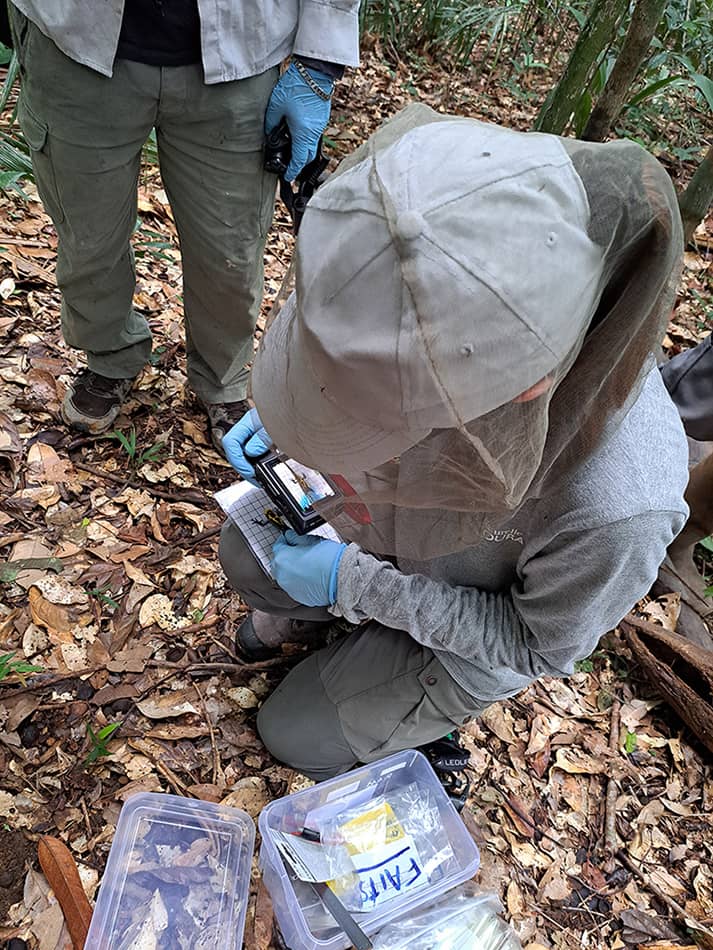 Mission scientifique d'identification des dendrobates dans le cadre de missions d'acquisition de connaissances.