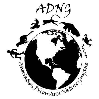 Logo Association Découverte Nature Guyane (ADNG)