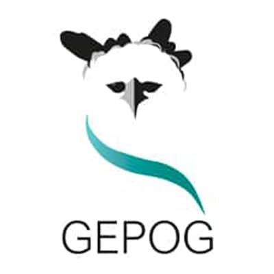 Logo Groupe d’Étude et de Protection des Oiseaux en Guyane.