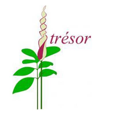 Logo Association Trésor