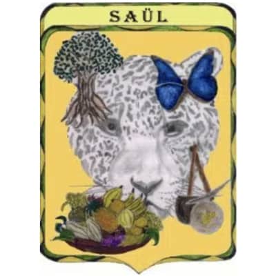 Logo commune de Saül