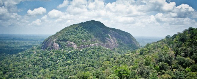 Vue aérienne de la Roche benitier (Inselberg) de la Réserve Naturelle de la Trinité.