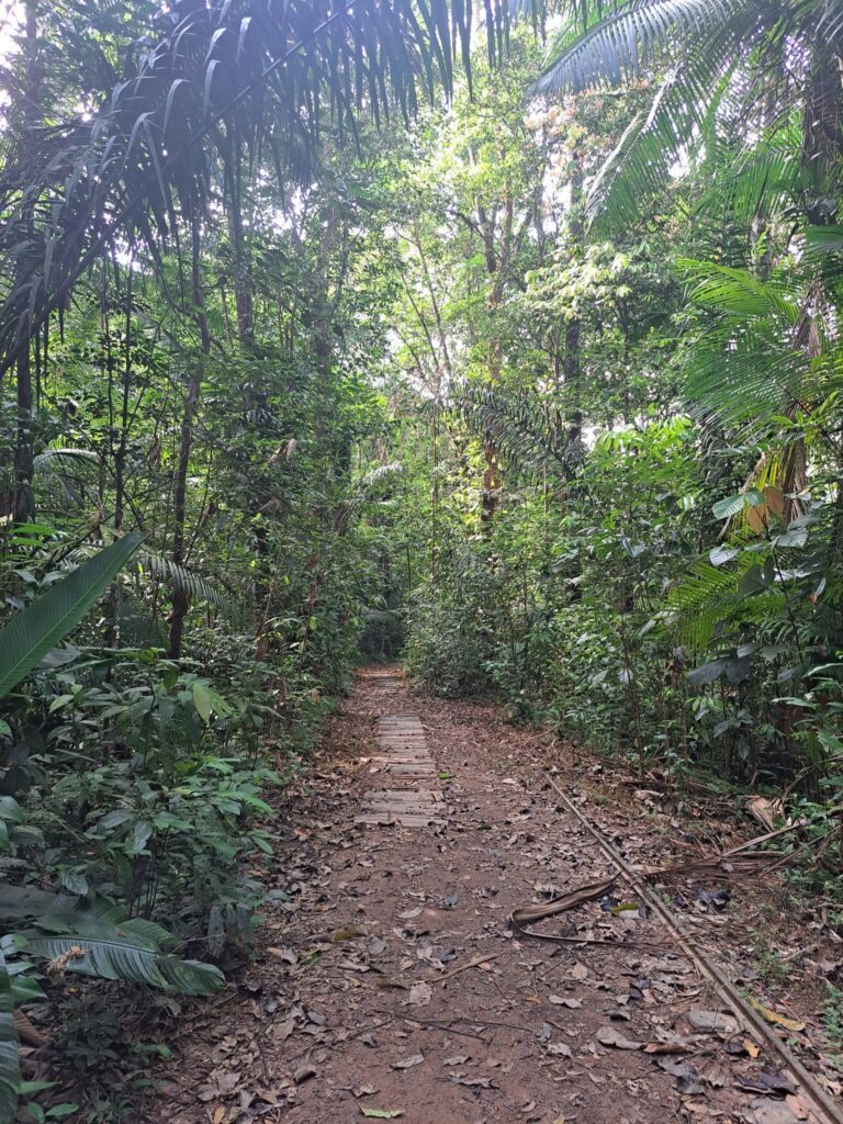 Sentier du Bagne des Annamites